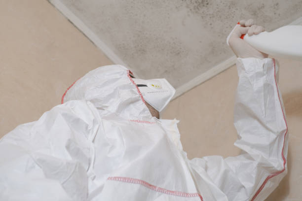 Best Mold Cleaning Services  in Clayton, NC